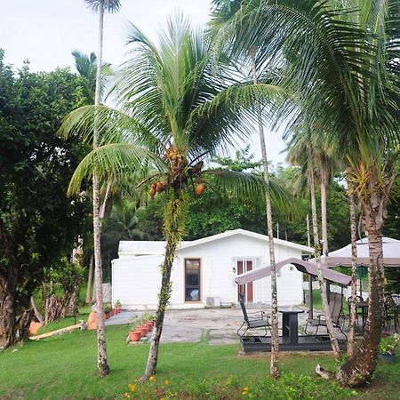 Shell Villa Apartel Resort Koror Exteriör bild